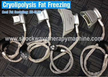 미장원 또는 진료소 사용을 위한 4개의 손잡이를 가진 기계를 체중을 줄이는 Cryolipolysis 뚱뚱한 동결